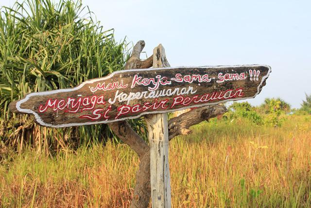 Pari Solata Seaview Homestay Syariah Kepulauan Seribu Εξωτερικό φωτογραφία